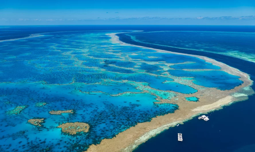 La Gran Barrera de Coral: Maravilla Natural en Peligro