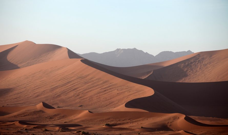 El Desierto del Sahara: Una Aventura Inolvidable en Merzouga y el Oasis de Tafilalet