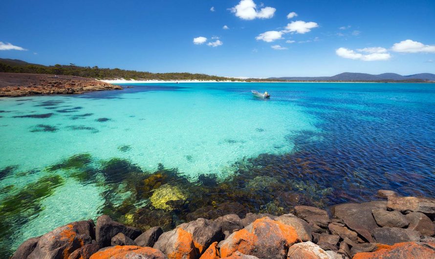 Explorando la Belleza de la Isla de Tasmania: Un Paraíso Natural en Australia